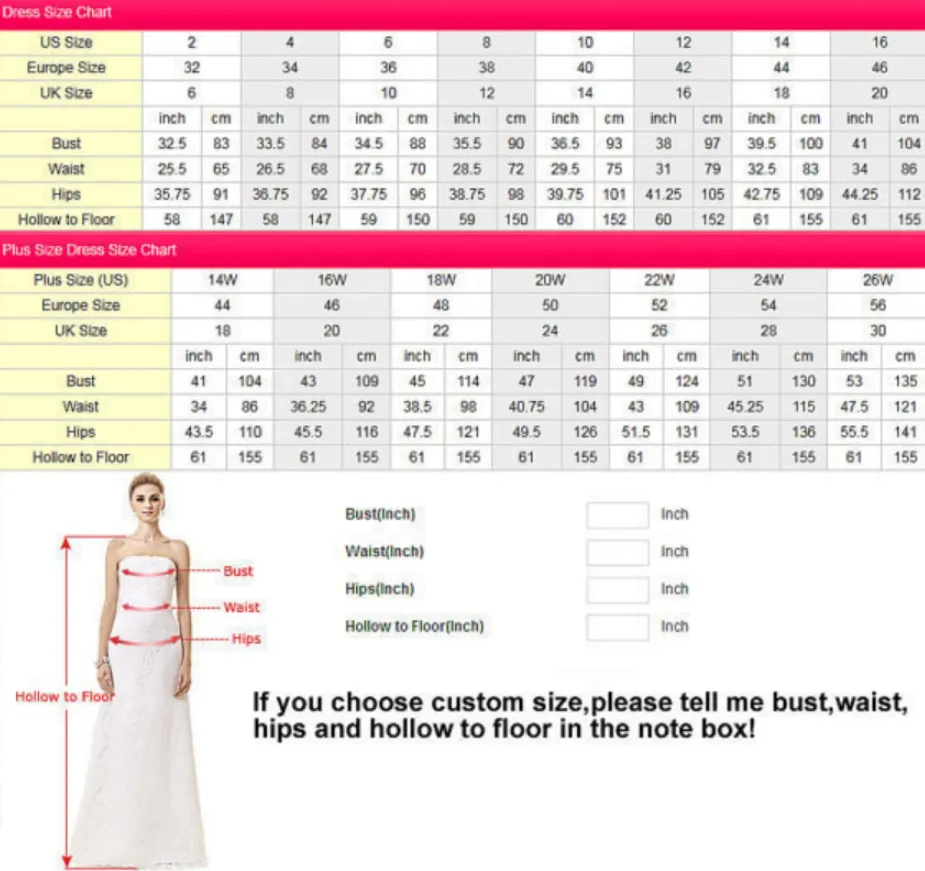 Anneprom V Neck Lace Tulle Long Prom/Evening Dress With Spaghetti Straps APP0322
