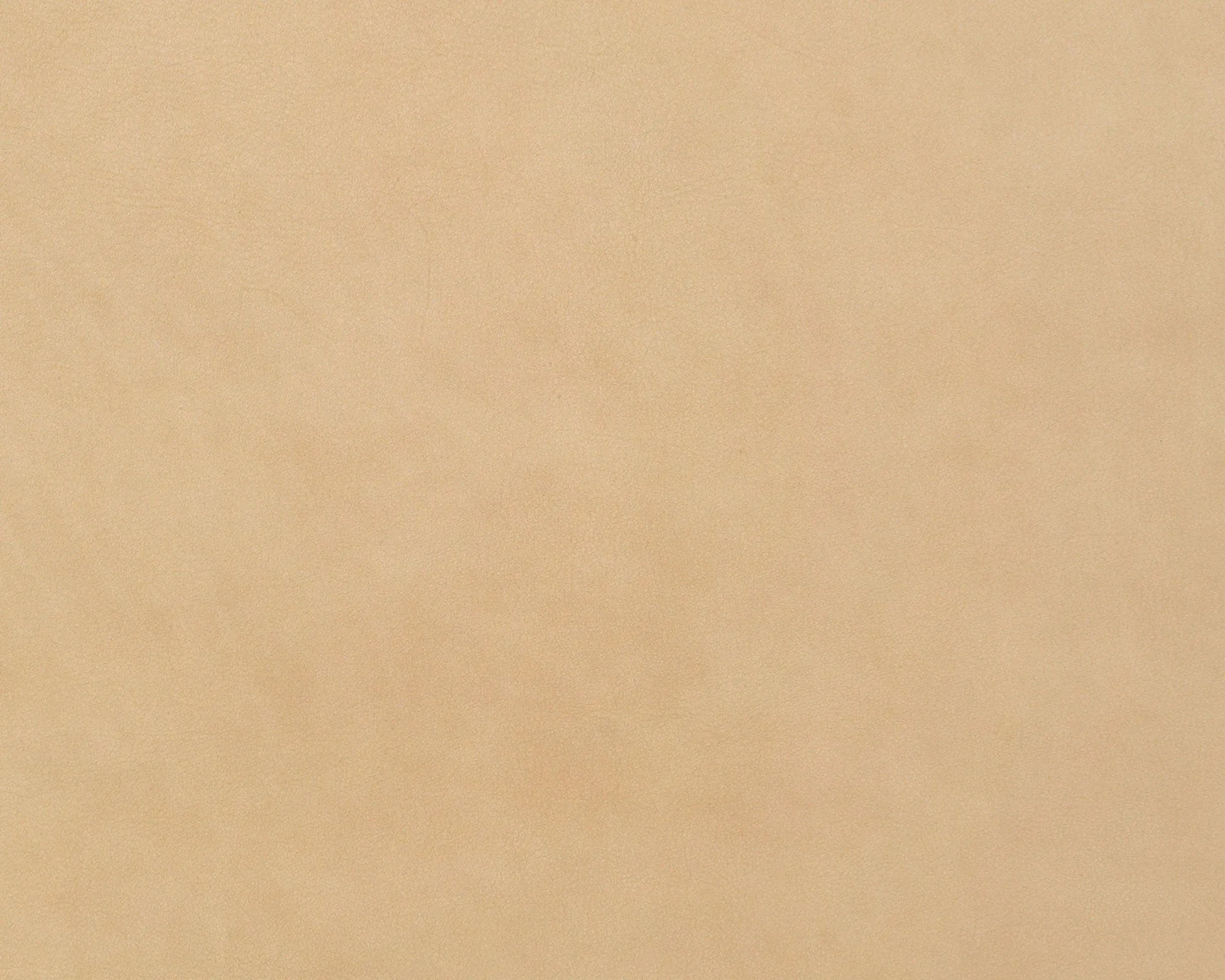 Brescia Leather - 2476