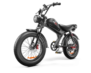 C93 E-Bike with Double 1000W Each Motors, Max Speed 31mph ,Battery 48v 20Ah Fat Tires 20*4"