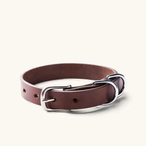 Classic Canine Collar - Cognac
