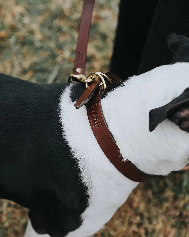 Classic Canine Collar - Cognac