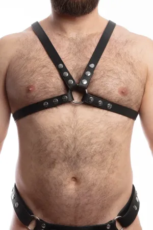 CLASSIC X HARNESS NARROW - Stainless Steel