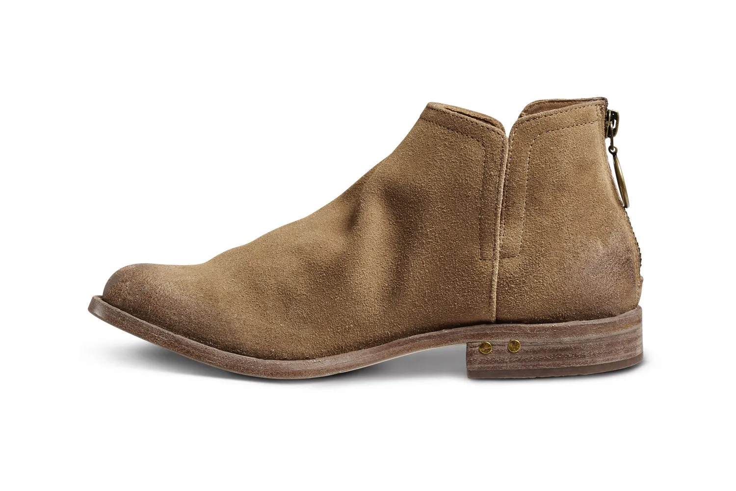 FALCON - Chestnut