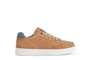 Geox - Djrock - Cognac/Navy