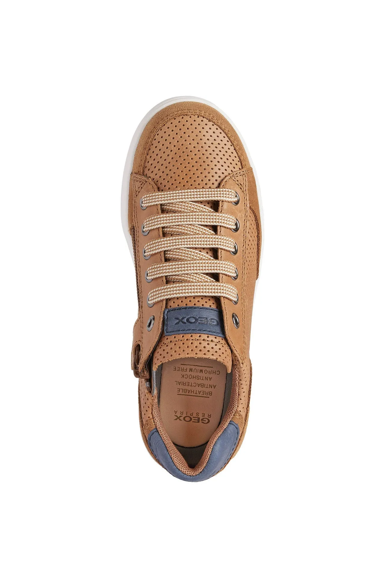 Geox - Djrock - Cognac/Navy