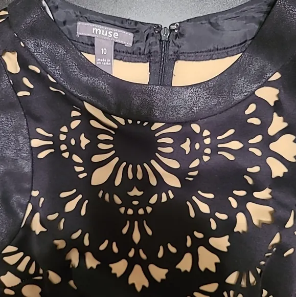 Muse Floral Lace Laser Cut Dress, Sz 10, NWT