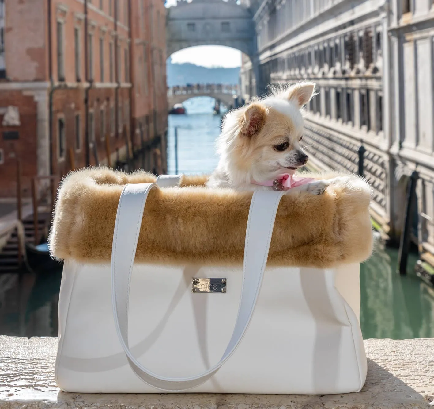 Nina Venezia Peggy Carriers