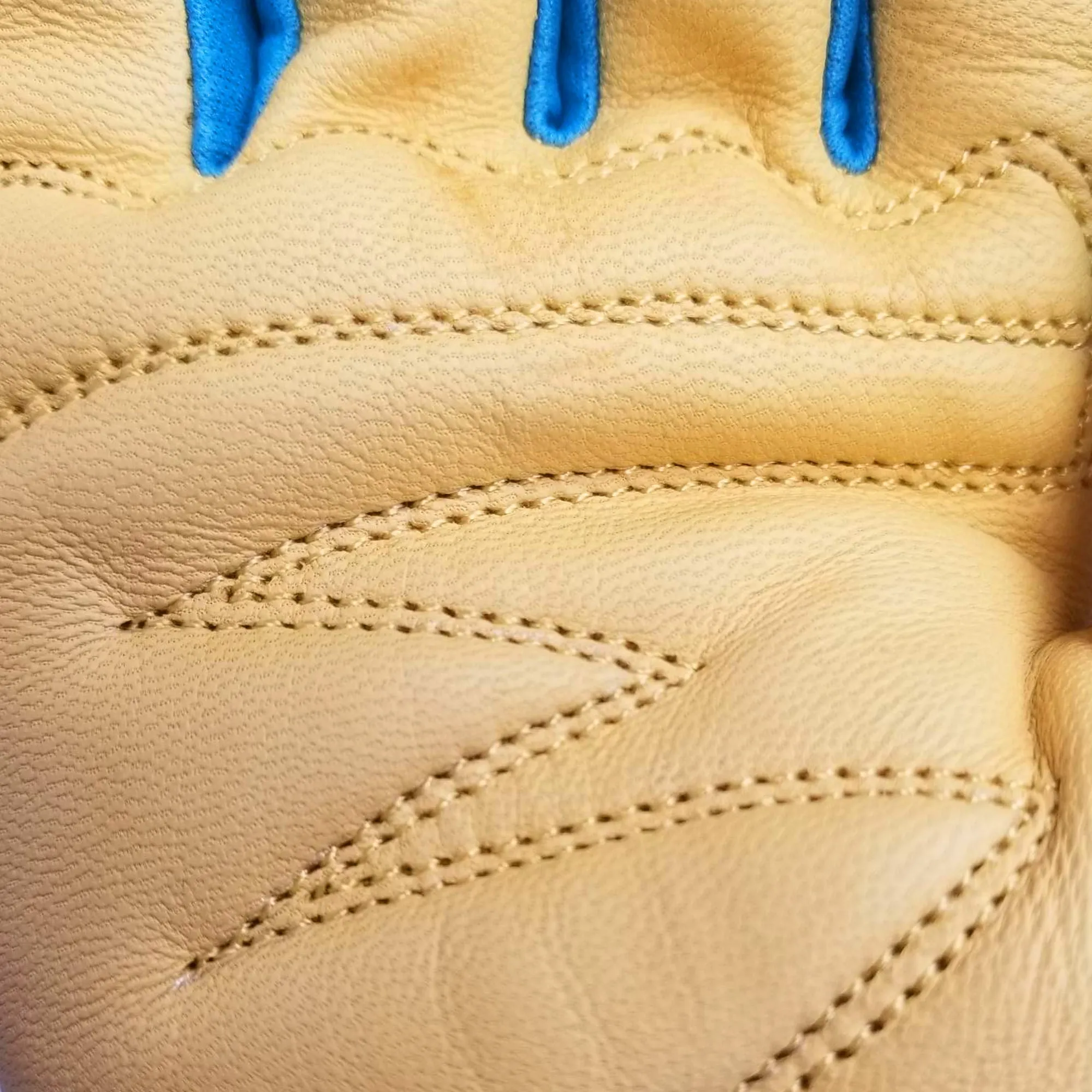 The Pioneer Woman Vintage Floral Goatskin Leather Glove Medium